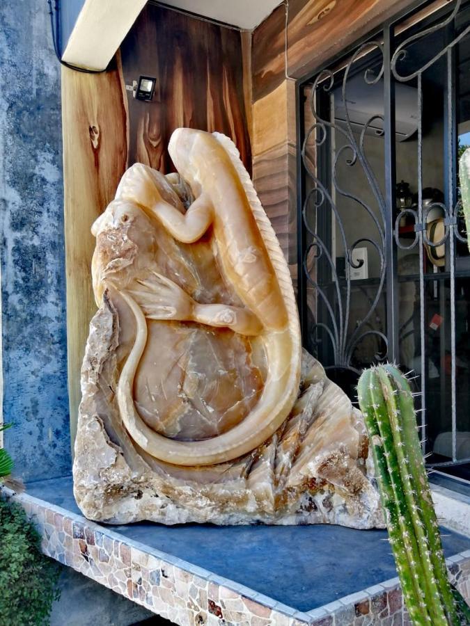 Madre Tierra Puerto Escondido Hostal
